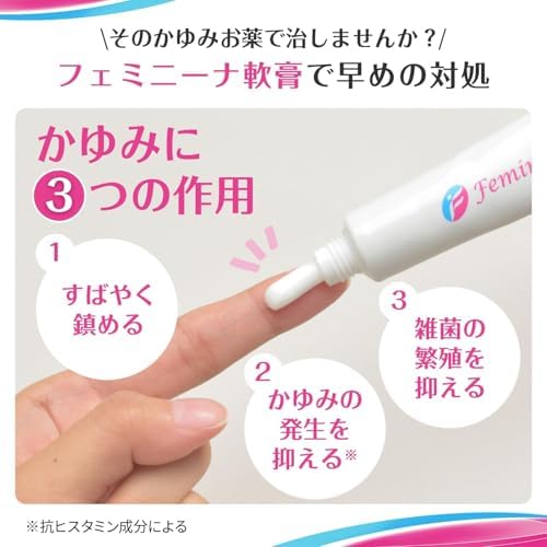 【第2類医薬品】フェミニーナ軟膏S 30g 画像 3